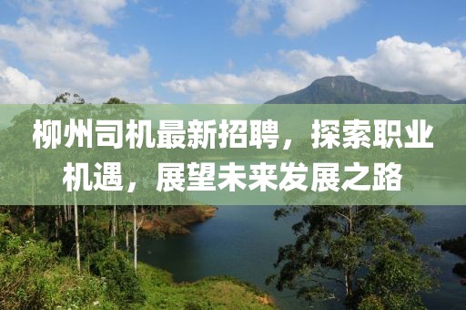柳州司机最新招聘，探索职业机遇，展望未来发展之路