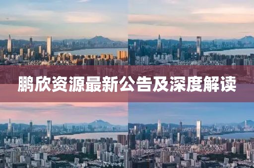 鹏欣资源最新公告及深度解读