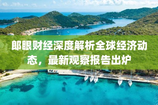 郎眼财经深度解析全球经济动态，最新观察报告出炉
