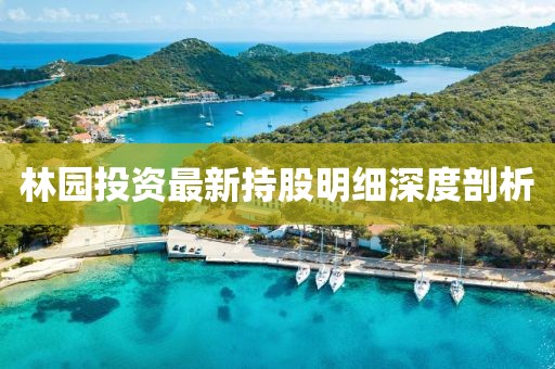 林园投资最新持股明细深度剖析