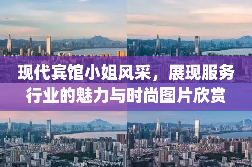 现代宾馆小姐风采，展现服务行业的魅力与时尚图片欣赏