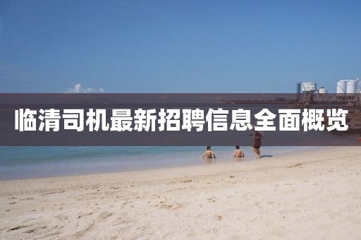 临清司机最新招聘信息全面概览