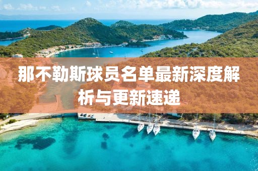 那不勒斯球员名单最新深度解析与更新速递