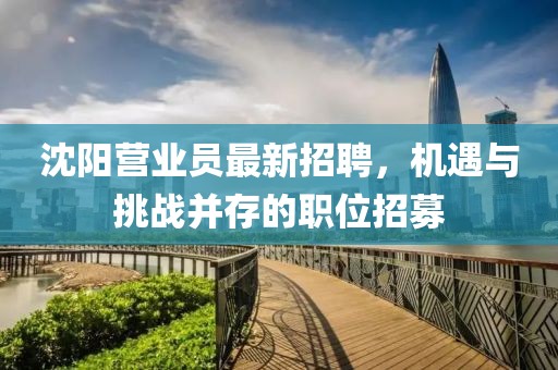 沈阳营业员最新招聘，机遇与挑战并存的职位招募