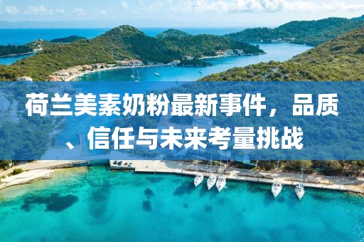 荷兰美素奶粉最新事件，品质、信任与未来考量挑战