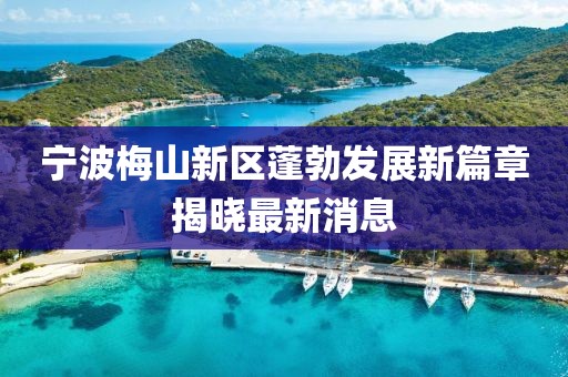 宁波梅山新区蓬勃发展新篇章揭晓最新消息