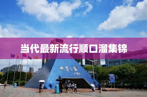 当代最新流行顺口溜集锦