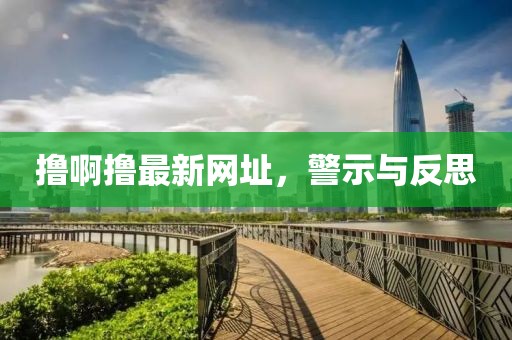 撸啊撸最新网址，警示与反思