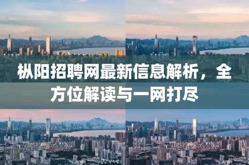 枞阳招聘网最新信息解析，全方位解读与一网打尽