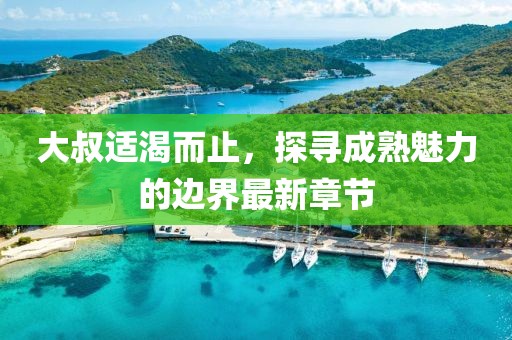 大叔适渴而止，探寻成熟魅力的边界最新章节
