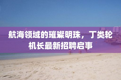 航海领域的璀璨明珠，丁类轮机长最新招聘启事