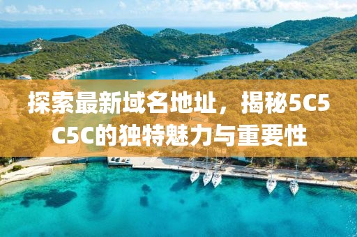 探索最新域名地址，揭秘5C5C5C的独特魅力与重要性