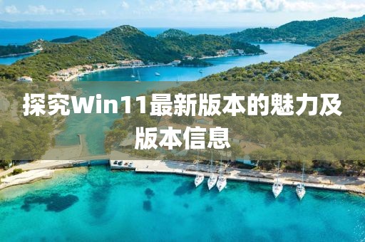 探究Win11最新版本的魅力及版本信息