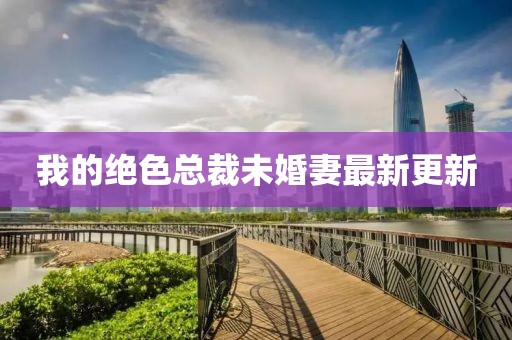 我的绝色总裁未婚妻最新更新