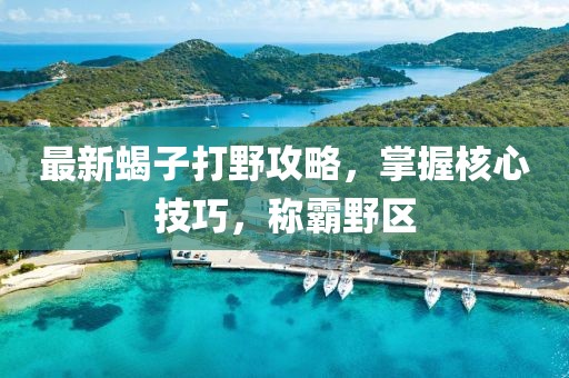 最新蝎子打野攻略，掌握核心技巧，称霸野区