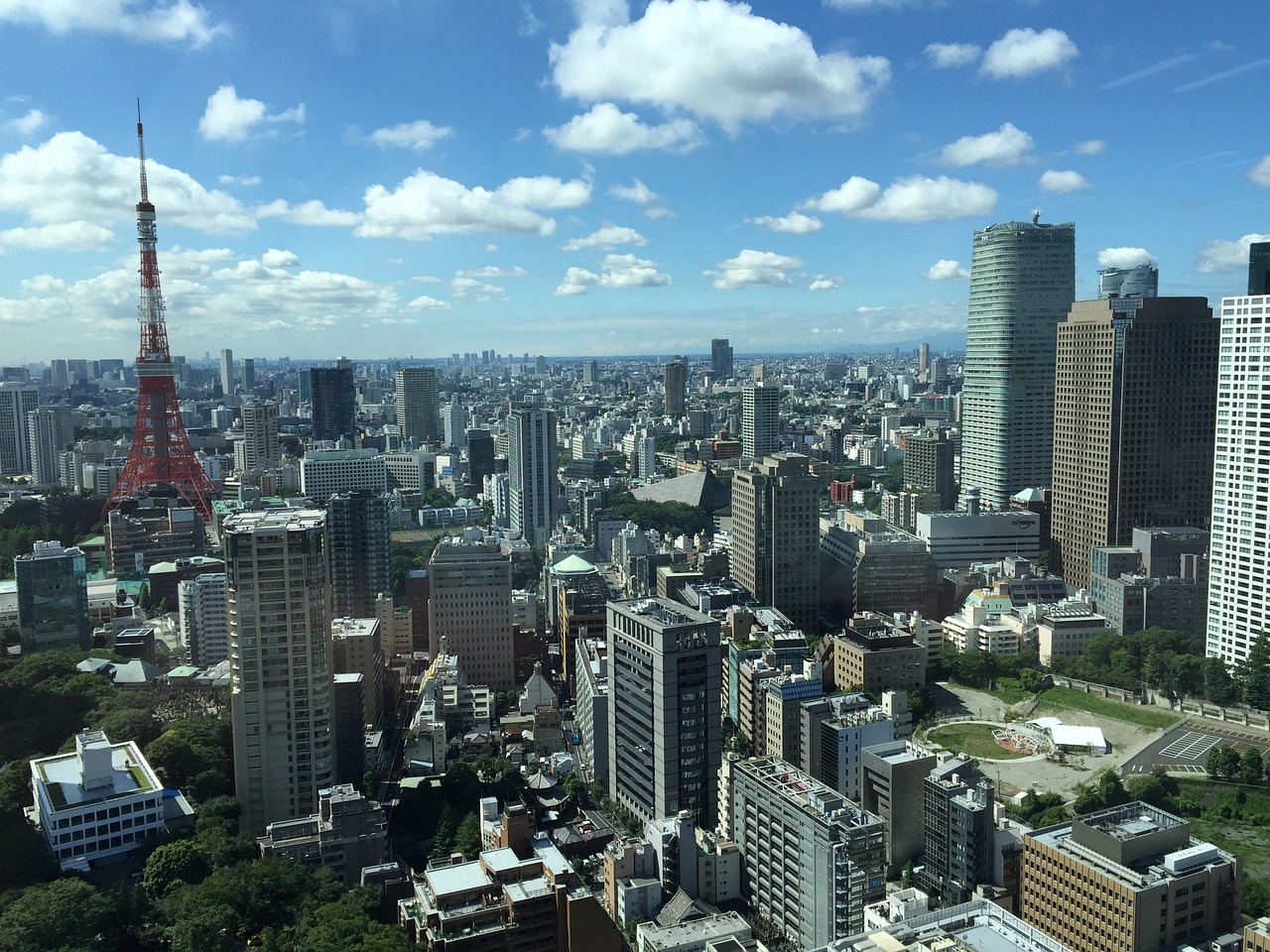 凉风有信 第28页