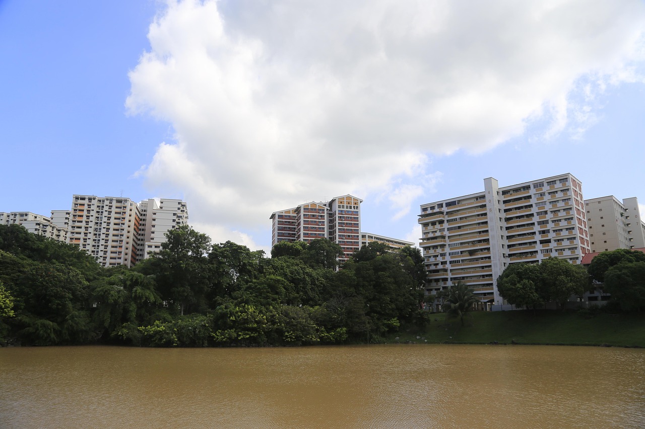 南京南站最新楼盘，城市发展与居住品质的新标杆