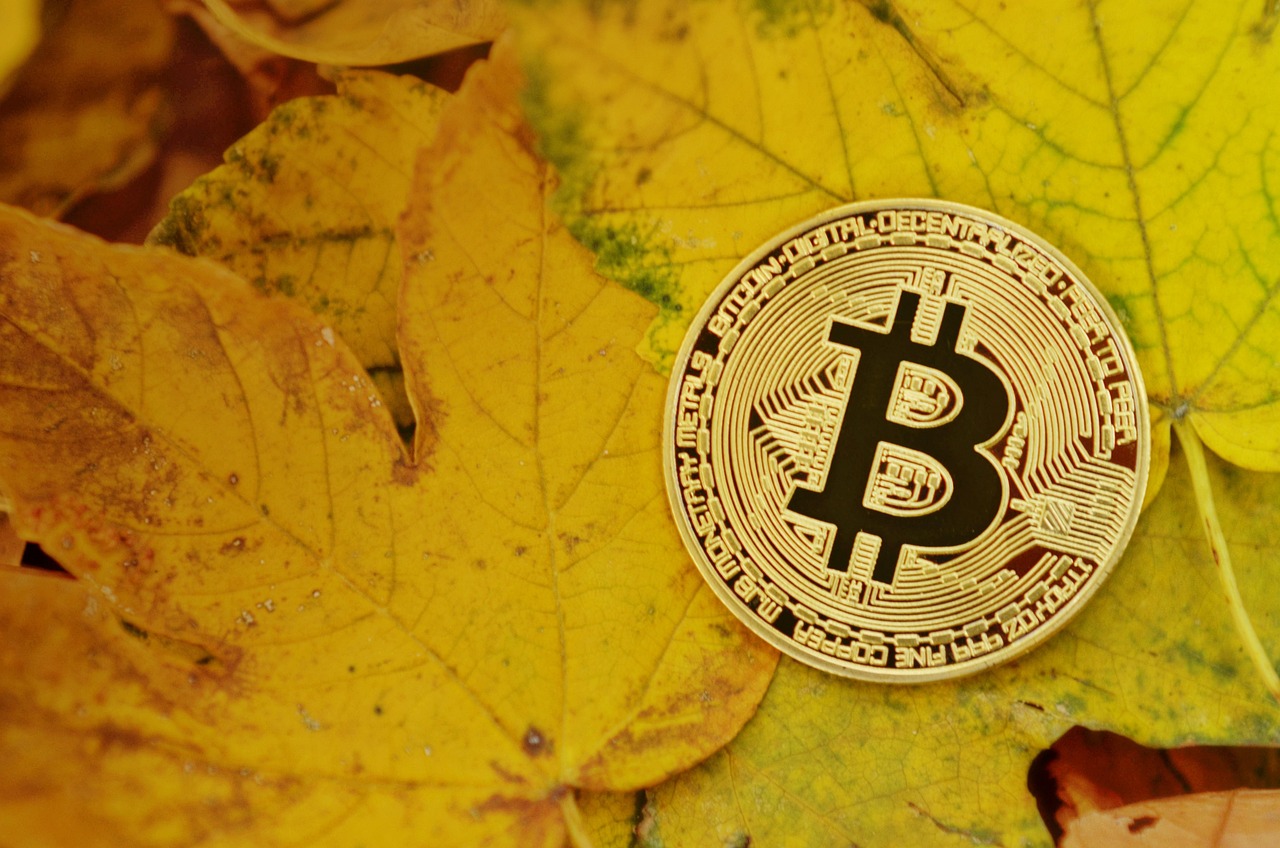 五月比特币（BTC）今日价格行情深度解析及市场动态分析