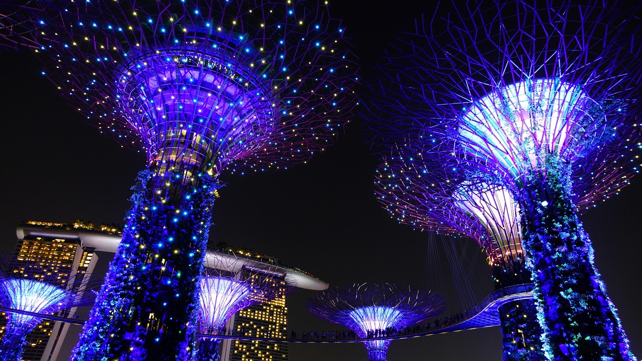 五月动漫花园，二次元世界的奇妙探索之旅