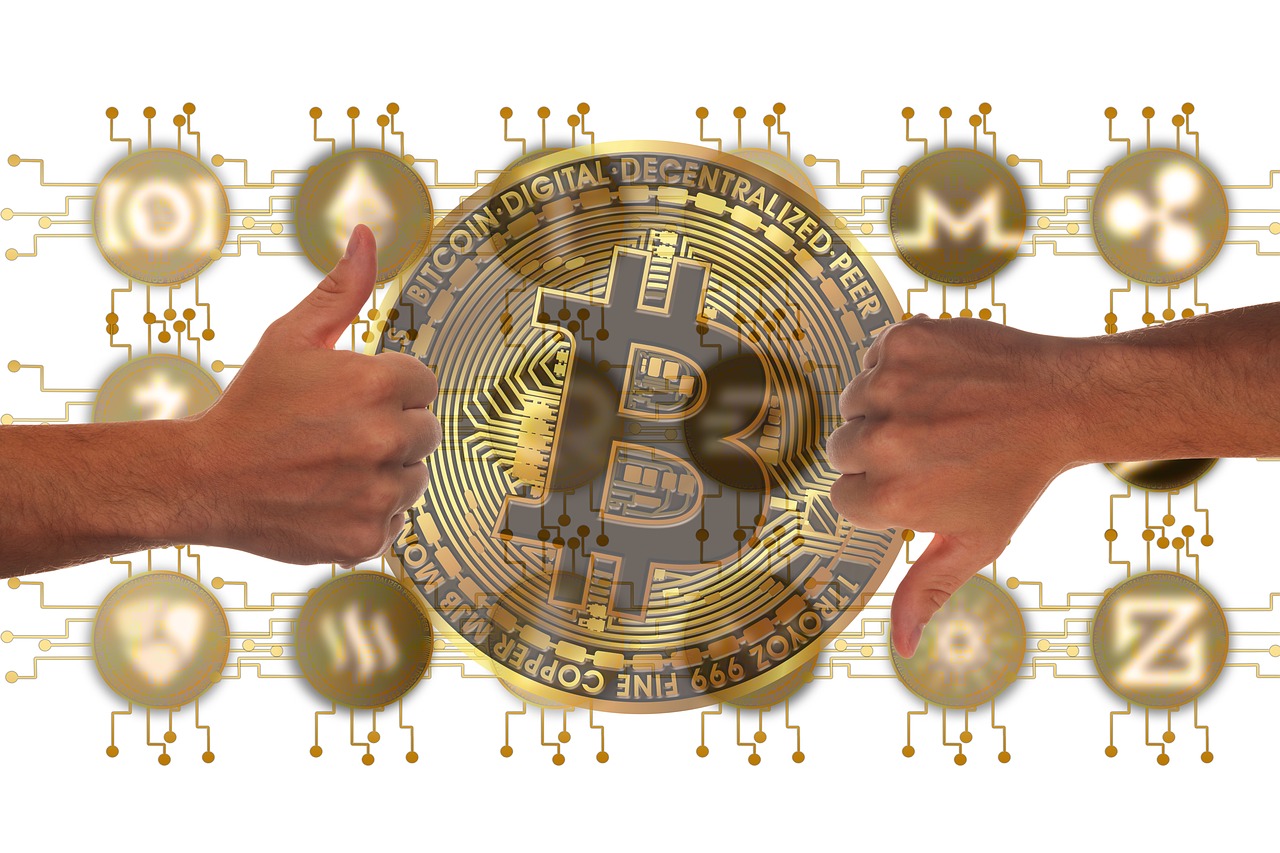 五月飞利信创新突破与未来展望，最新动态揭秘行业领先之路
